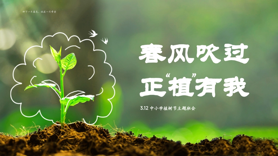 第五周《春风吹过，正‘植’有我》主题班会PPT
