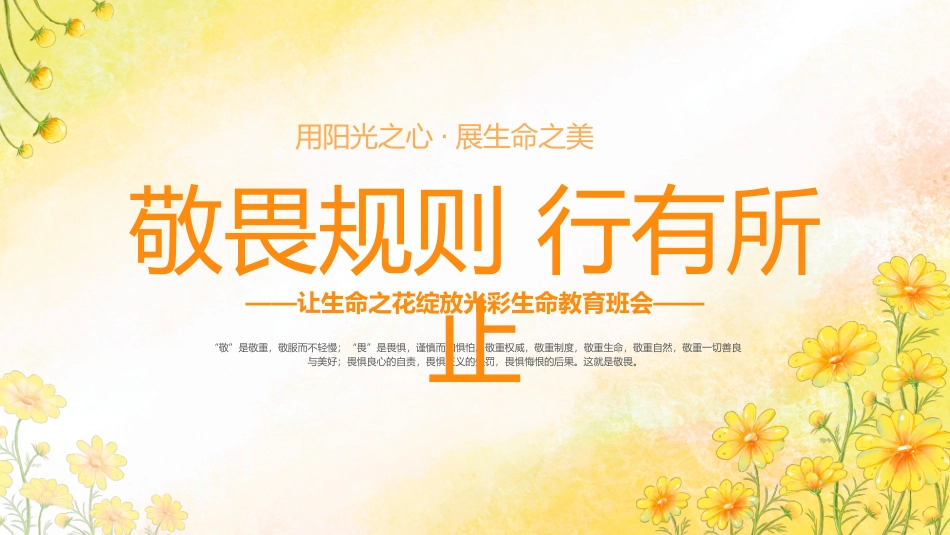 敬畏规则，行有所止——生命教育PPT