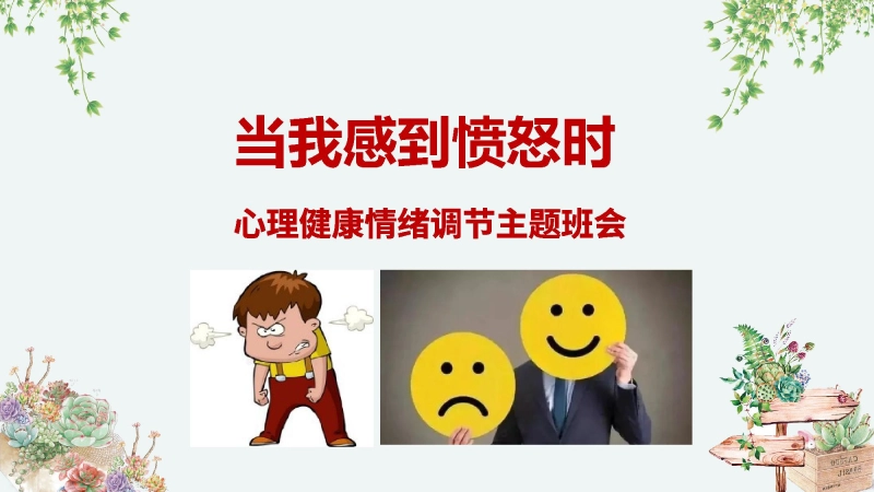 【通用】【情绪管理】中学生主题班会：当我感到愤怒时