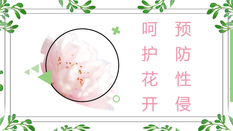 【初中】预防性侵主题班会：呵护花开，预防性侵